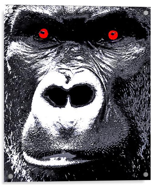 In The eyes Of A Gorilla Acrylic by Mike Gorton