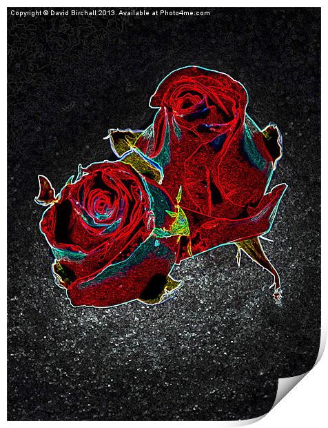 Savage Roses Print by David Birchall