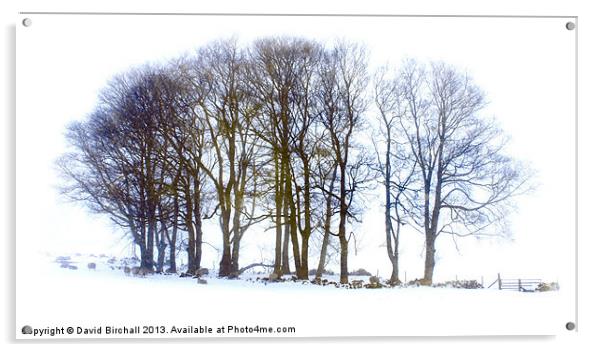 Winter Trees Acrylic by David Birchall