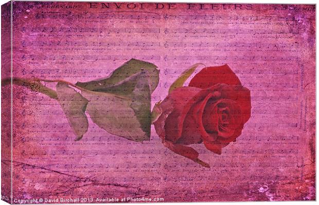 Envoi De Fleurs, Rose Canvas Print by David Birchall