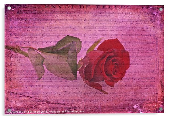 Envoi De Fleurs, Rose Acrylic by David Birchall
