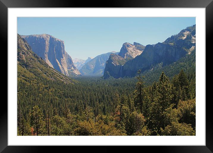 Yosemite Valley Framed Mounted Print by Tom Hard
