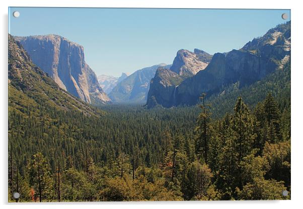 Yosemite Valley Acrylic by Tom Hard