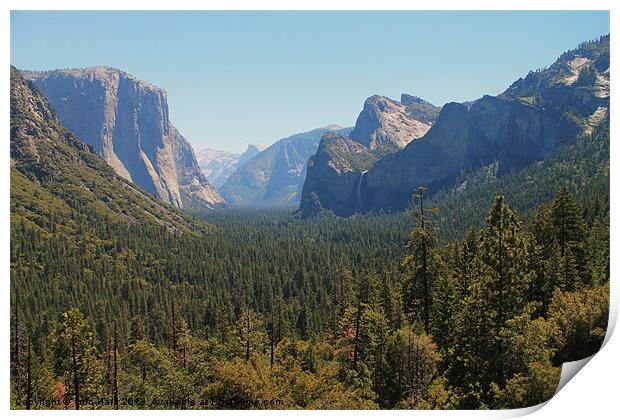 Yosemite Valley Print by Tom Hard