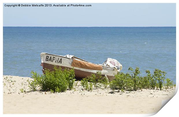 Shipwrecked Print by Debbie Metcalfe