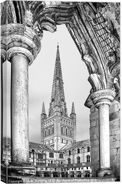 Norwich cathedral in black and white Canvas Print by Mark Bunning
