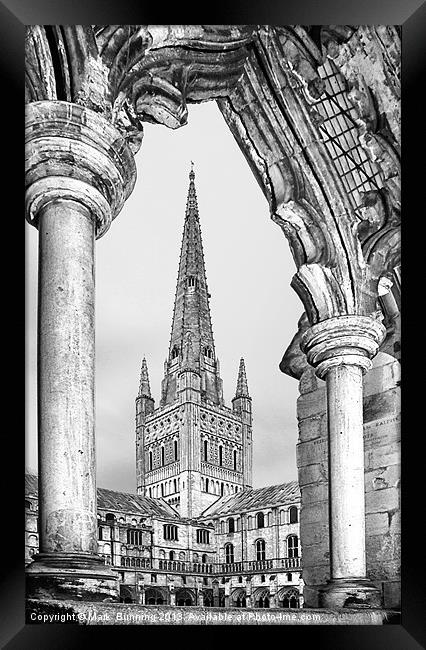 Norwich cathedral in black and white Framed Print by Mark Bunning