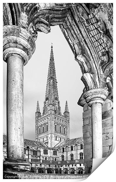 Norwich cathedral in black and white Print by Mark Bunning
