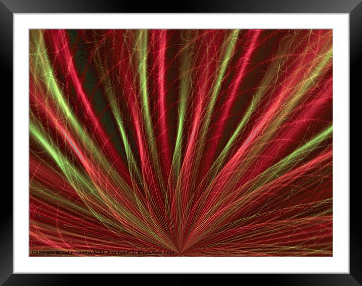 Red Sea-grass Framed Mounted Print by Colin Forrest