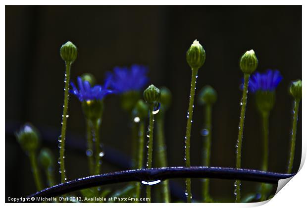 Little Flower Buds in rain Print by Michelle Orai