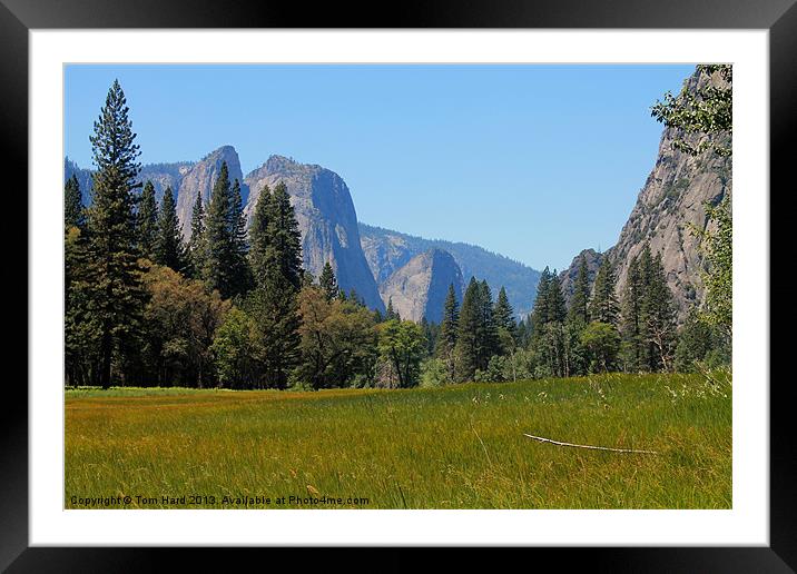 Yosemite National Park Framed Mounted Print by Tom Hard