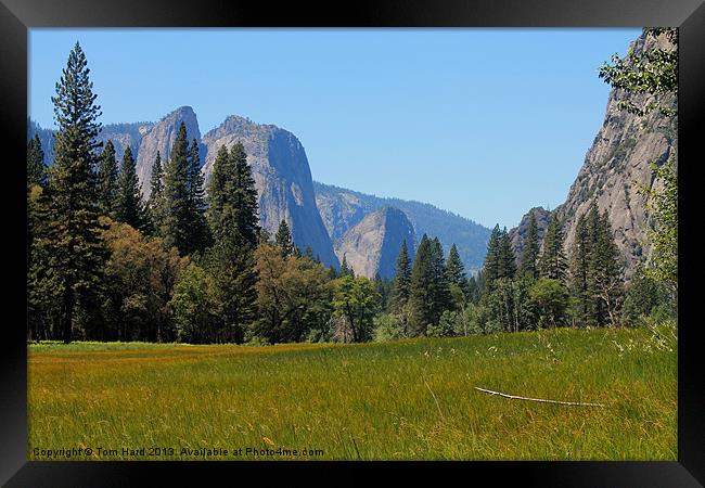 Yosemite National Park Framed Print by Tom Hard