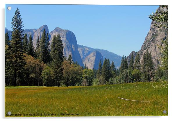 Yosemite National Park Acrylic by Tom Hard