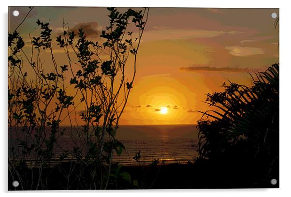Sunset 2 Acrylic by james balzano, jr.