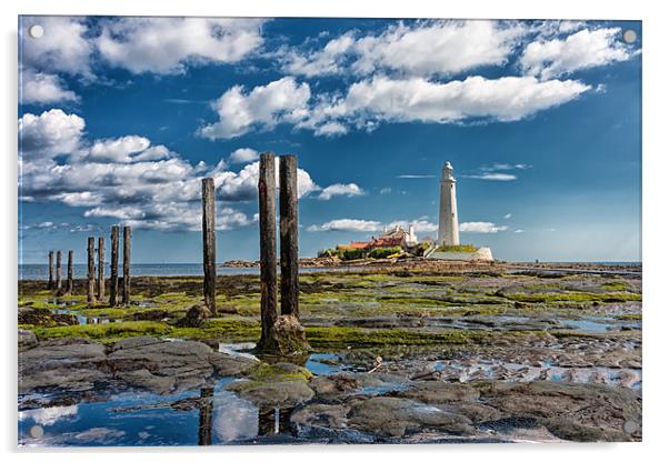 St Marys Lighthouse, Northumberland Acrylic by Tom Hibberd