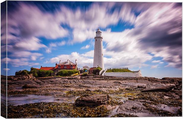 St Marys Lighthouse, Northumberland Canvas Print by Tom Hibberd