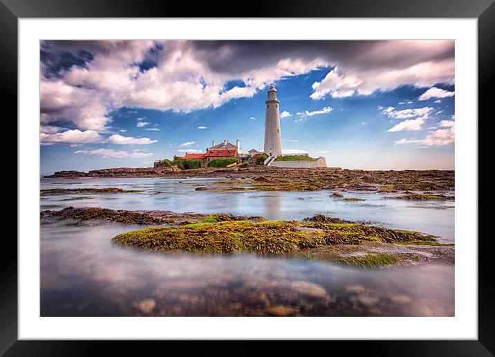 St Marys Lighthouse, Northumberland Framed Mounted Print by Tom Hibberd