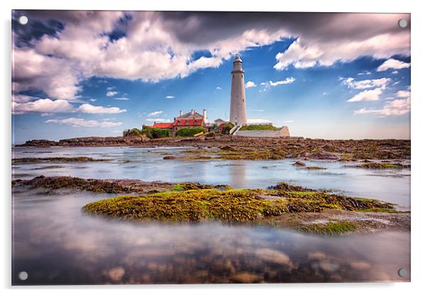 St Marys Lighthouse, Northumberland Acrylic by Tom Hibberd