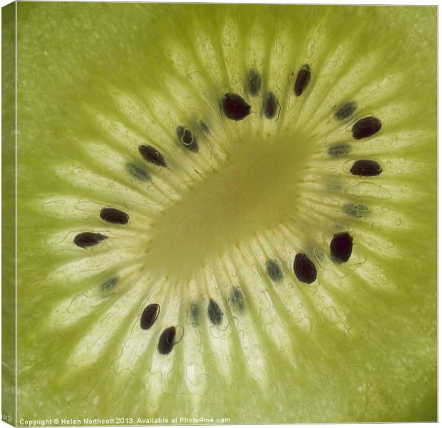 Kiwi Fruit Slice Canvas Print by Helen Northcott