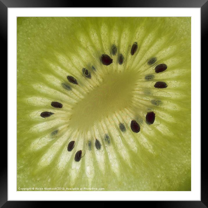 Kiwi Fruit Slice Framed Mounted Print by Helen Northcott