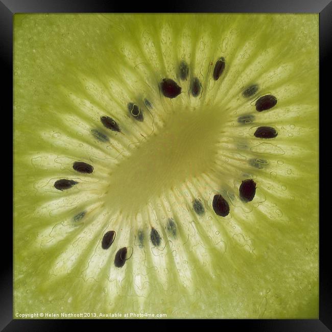Kiwi Fruit Slice Framed Print by Helen Northcott