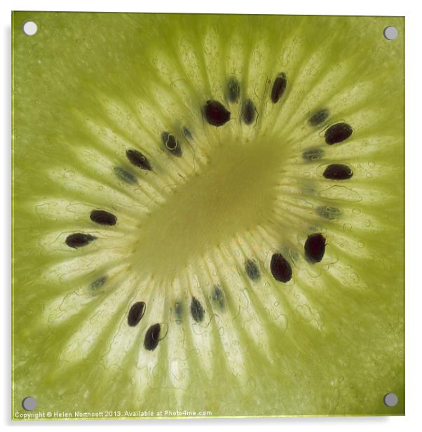 Kiwi Fruit Slice Acrylic by Helen Northcott