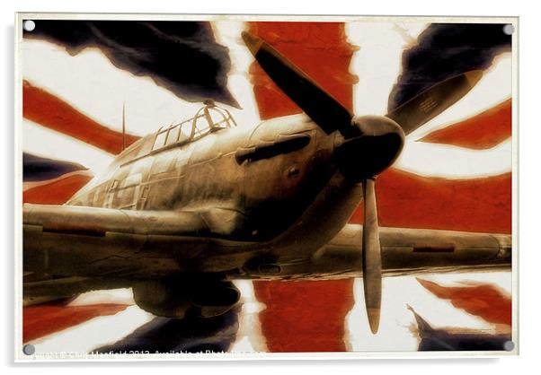 Flying The Flag Acrylic by Chris Manfield