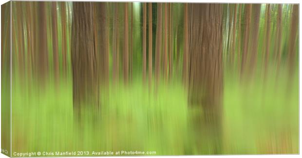 wood For The Trees Canvas Print by Chris Manfield