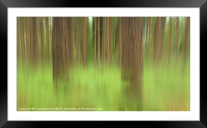 wood For The Trees Framed Mounted Print by Chris Manfield