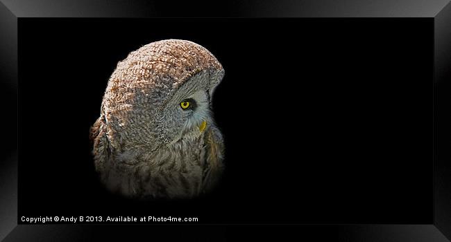 European Great Grey Owl Framed Print by Andy Bennette