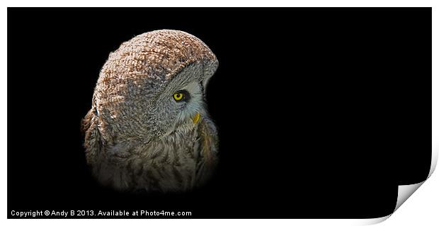 European Great Grey Owl Print by Andy Bennette