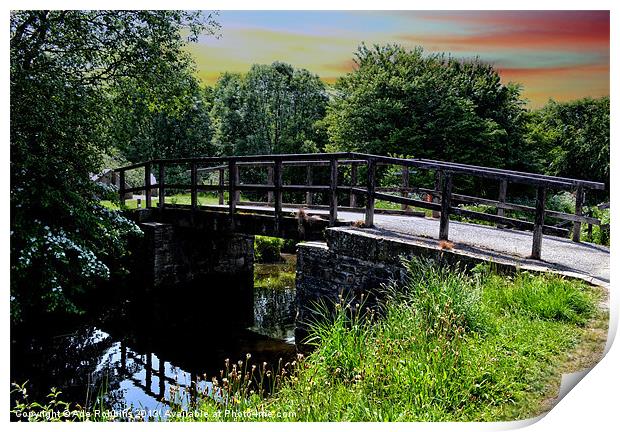 Picturesque Bridge Print by Ade Robbins