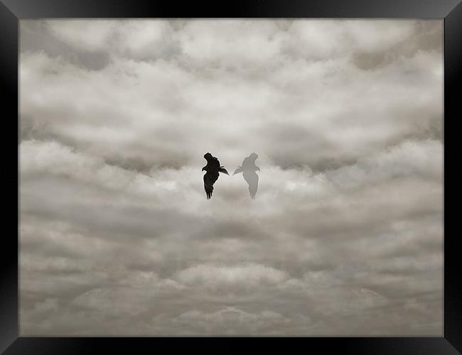eagle dreamscape Framed Print by Heather Newton