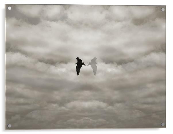 eagle dreamscape Acrylic by Heather Newton