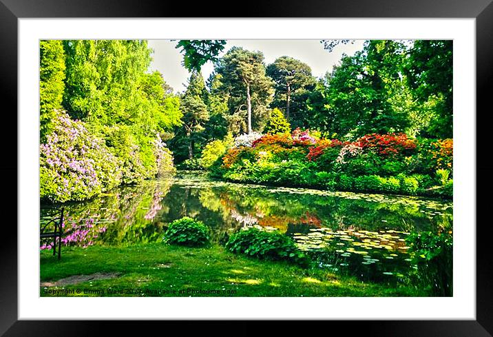 tatton pond 1 Framed Mounted Print by Emma Ward