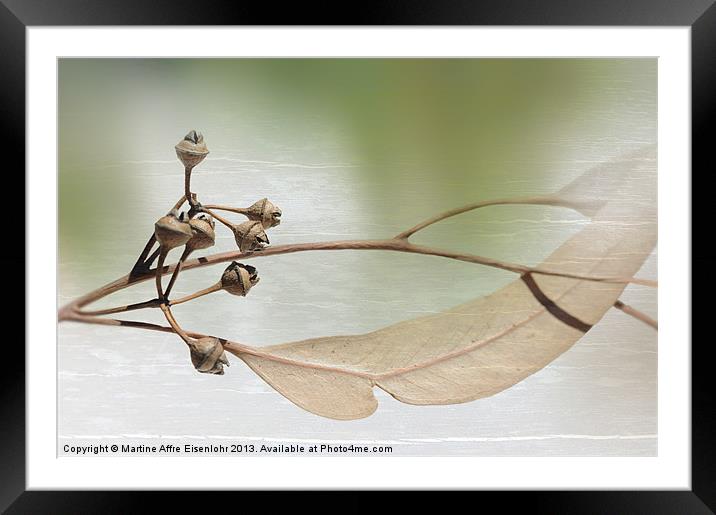 Eucalyptus branch Framed Mounted Print by Martine Affre Eisenlohr
