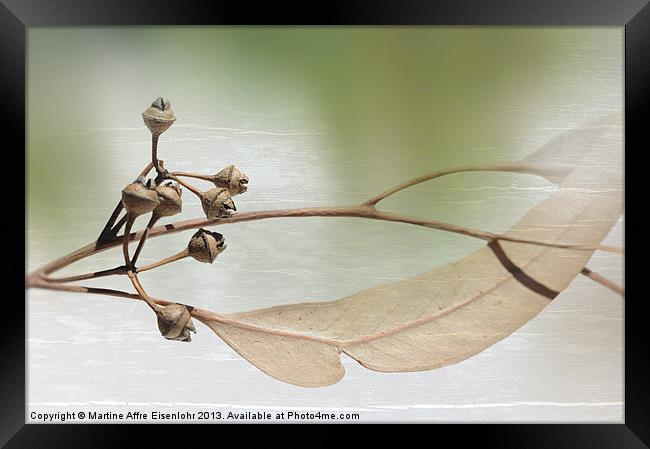 Eucalyptus branch Framed Print by Martine Affre Eisenlohr