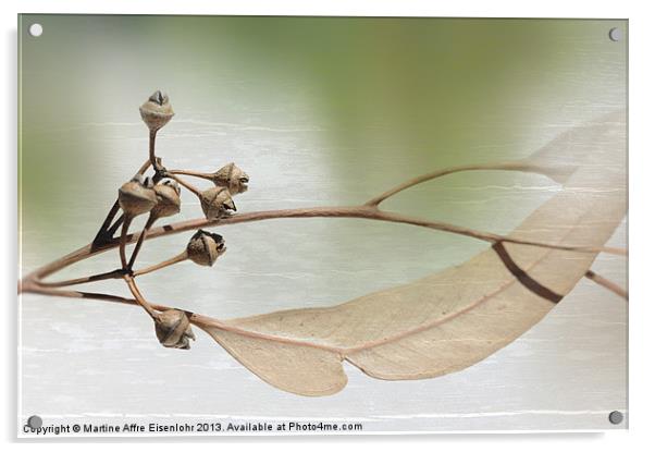 Eucalyptus branch Acrylic by Martine Affre Eisenlohr