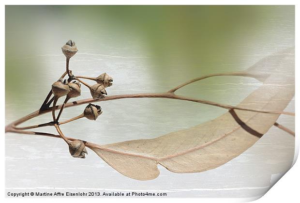 Eucalyptus branch Print by Martine Affre Eisenlohr