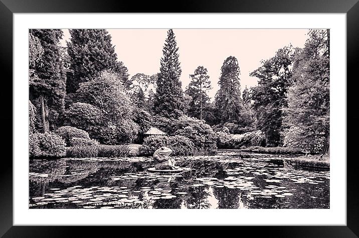 tatton pond 6 Framed Mounted Print by Emma Ward