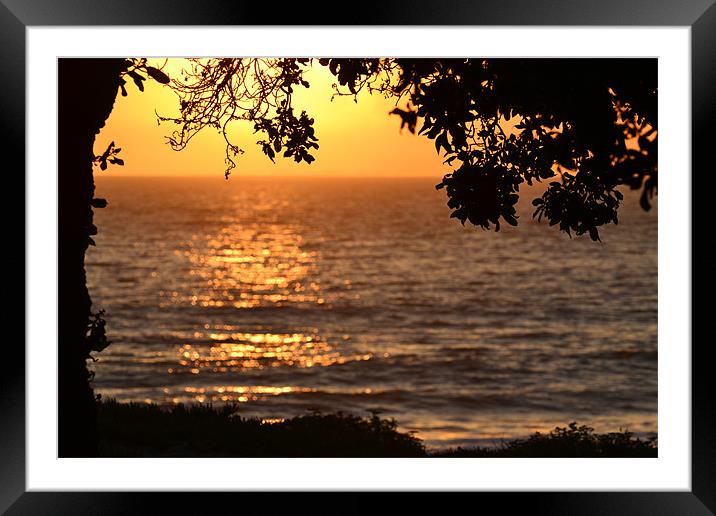 Sunset at Point Mugu, Pacific Ocean,CA Framed Mounted Print by Hamid Moham