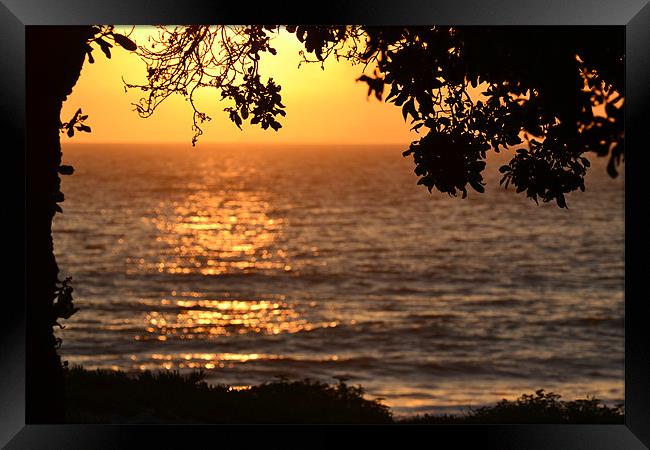 Sunset at Point Mugu, Pacific Ocean,CA Framed Print by Hamid Moham