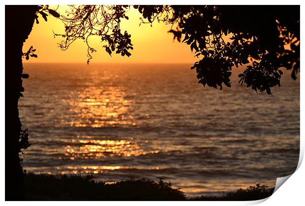 Sunset at Point Mugu, Pacific Ocean,CA Print by Hamid Moham
