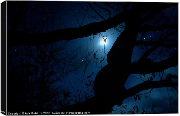Moonlight through the trees Canvas Print by Ade Robbins