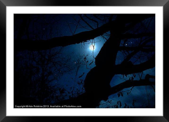Moonlight through the trees Framed Mounted Print by Ade Robbins