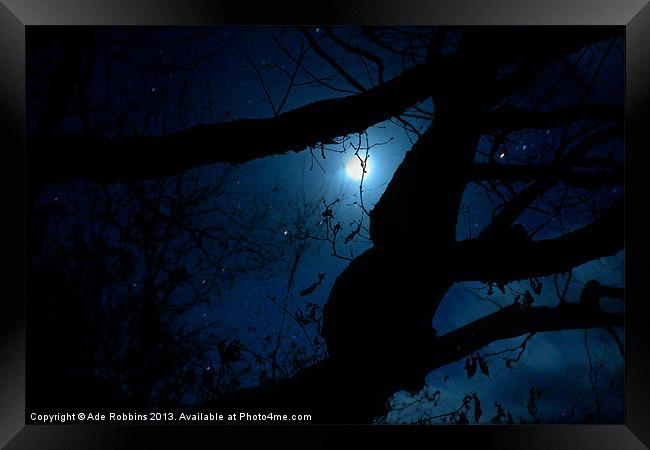 Moonlight through the trees Framed Print by Ade Robbins