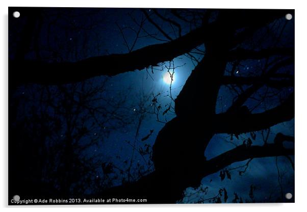 Moonlight through the trees Acrylic by Ade Robbins