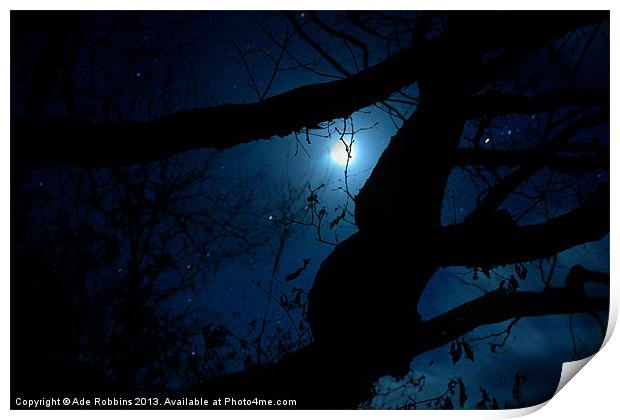 Moonlight through the trees Print by Ade Robbins