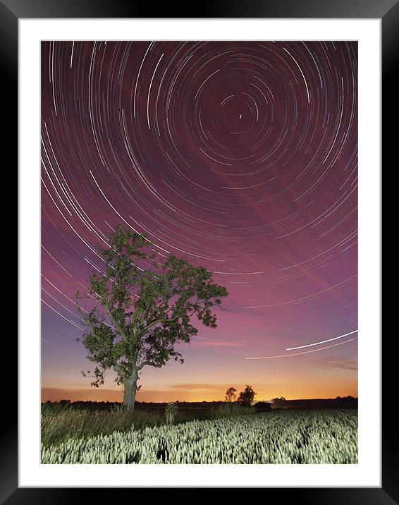 Star trail and tree Framed Mounted Print by mark humpage