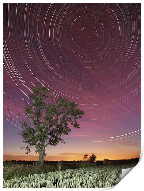 Star trail and tree Print by mark humpage